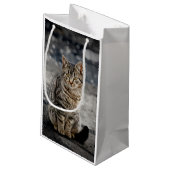 猫ポートレート スモールペーパーバッグ (裏面アングル)