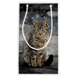 猫ポートレート スモールペーパーバッグ