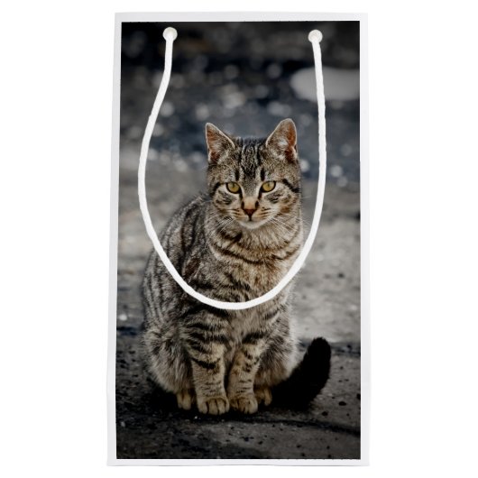 猫ポートレート スモールペーパーバッグ (正面)