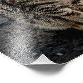 猫ポートレート フォトプリント (角)