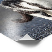 猫ポートレート フォトプリント            (角)