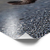 猫ポートレート フォトプリント            (角)