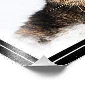 猫ポートレート フォトプリント            (角)