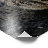 猫ポートレート フォトプリント (角)