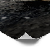 猫ポートレート ポスター (角)