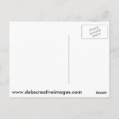 猫ポートレート ポストカード (裏面)