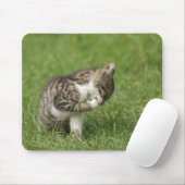 猫ポートレート マウスパッド (マウス)