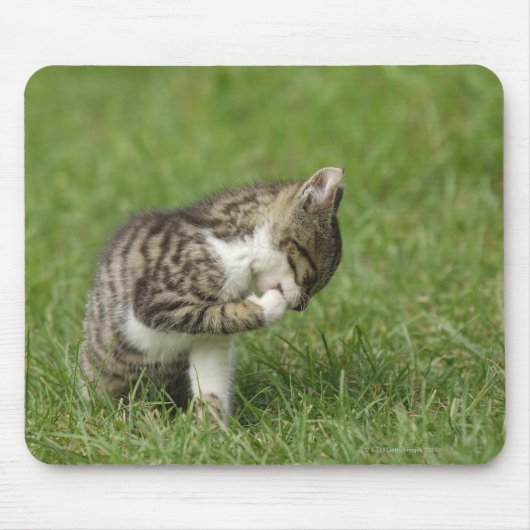 猫ポートレート マウスパッド (正面)
