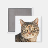 猫ポートレート マグネット (正面/裏面)