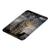 猫ポートレート マグネット (左側)