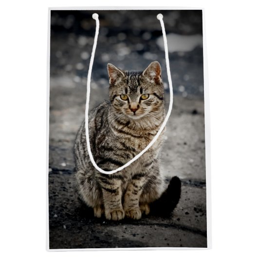 猫ポートレート ミディアムペーパーバッグ (正面)