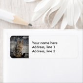 猫ポートレート ラベル (インサイチュ)