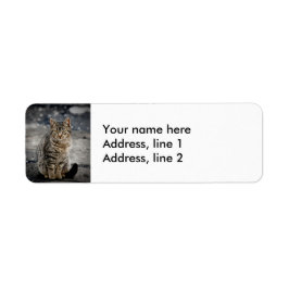 猫ポートレート ラベル