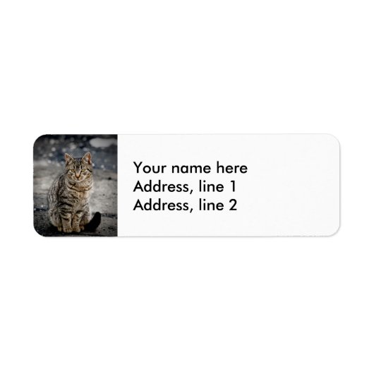 猫ポートレート ラベル (正面)