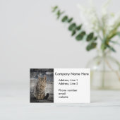 猫ポートレート 名刺 (スタンド正面)