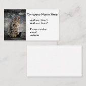 猫ポートレート 名刺 (正面/裏面)