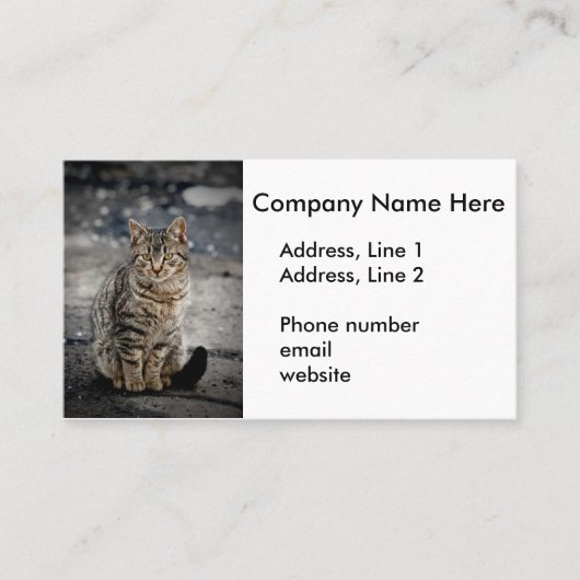 猫ポートレート 名刺 (正面)