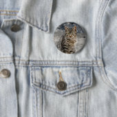 猫ポートレート 缶バッジ (インサイチュ)