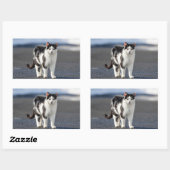 猫ポートレート 長方形シール (シート)