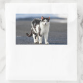 猫ポートレート 長方形シール (バッグ)