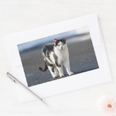 猫ポートレート 長方形シール (封筒)