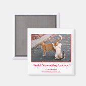 猫マグネットのSNS マグネット (正面/裏面)