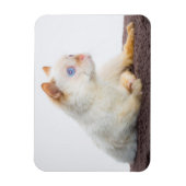 猫マグネットをトライデント02 マグネット (縦)