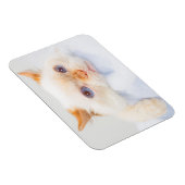 猫マグネットをトライデント03 マグネット (右側)