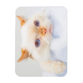 猫マグネットをトライデント03 マグネット (縦)