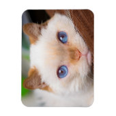猫マグネットをトライデント04 マグネット (縦)