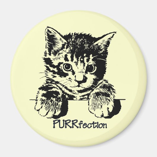 猫マグネット保護 マグネット (正面)