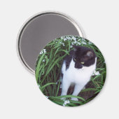 猫マグネット マグネット (正面/裏面)