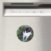 猫マグネット マグネット (インサイチュ (食洗機))