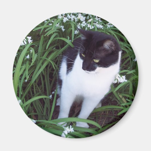 猫マグネット マグネット (正面)