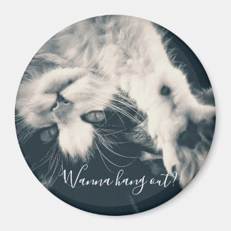 猫マグネット - 一緒に過ごしますか? マグネット