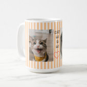 猫ママ 2枚の写真 ストライプ パステルカラー コーヒーマグカップ (正面左)