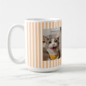 猫ママ 2枚の写真 ストライプ パステルカラー コーヒーマグカップ (左)