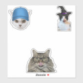 猫ミーム シール (シート)
