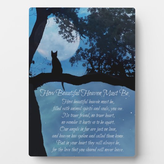 猫メモリアル美しい天国はプラーク フォトプラーク (正面)