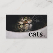 猫モダンロイヤリティパンチカード 名刺 (正面)