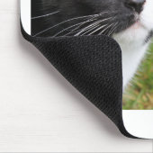 猫モチベーション・スローガン時の壮大なアドバイス マウスパッド (コーナー)