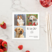 猫ユニーク犬の愛猫の写真3枚結婚 スタンダードカクテルナプキン (インサイチュ)