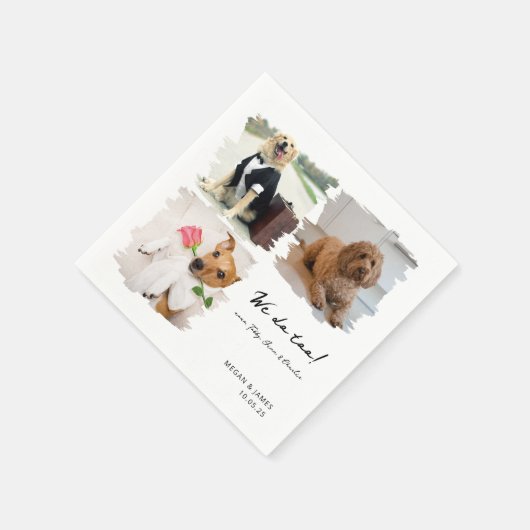 猫ユニーク犬の愛猫の写真3枚結婚 スタンダードカクテルナプキン (角)