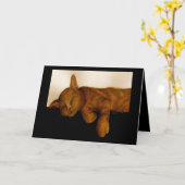 猫ユーモアのある昼寝誕生日カード カード (黄色い花)