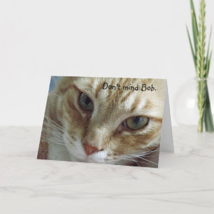 猫ユーモアのある誕生日カード カード