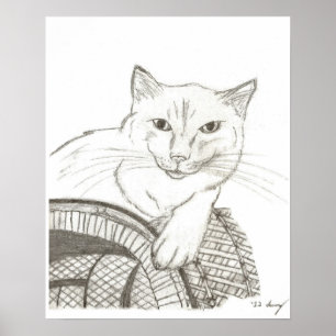 猫ラグドールポートレートポスター ポスター