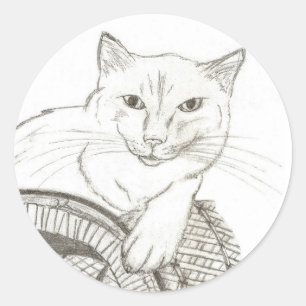 猫ラグドールポートレートラウンドステッカー – セット20 ラウンドシール