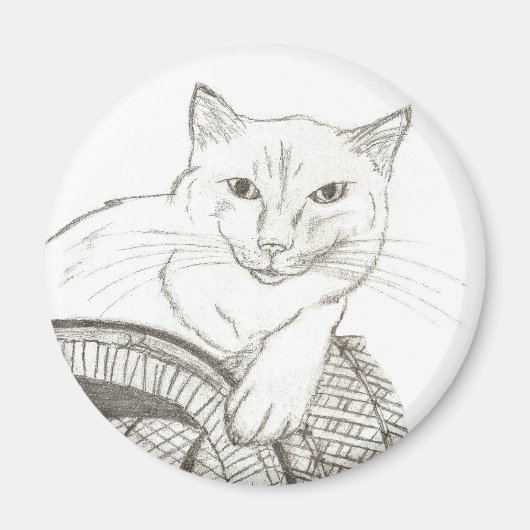 猫ラグドールポートレート磁石 マグネット (正面)