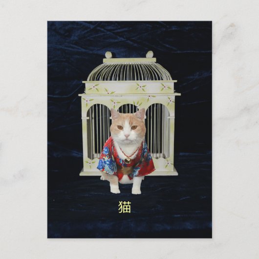 猫ラッキーキャット ポストカード (正面)