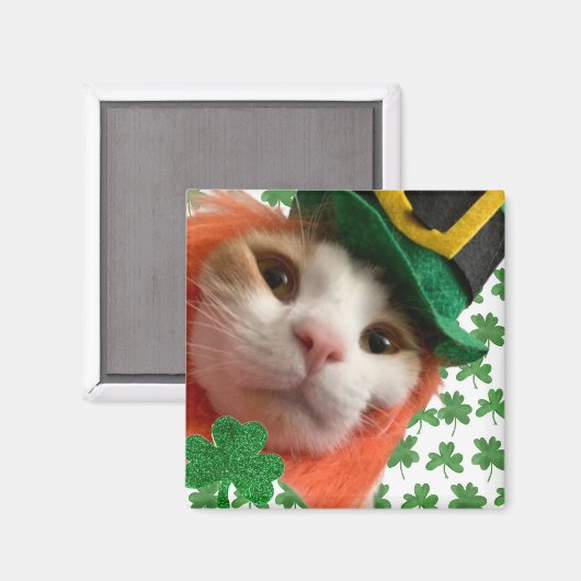 猫ラッキー？ マグネット (正面/裏面)